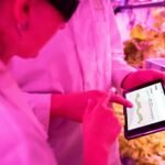 maximize growth with technology