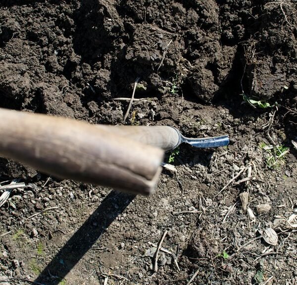 maximize growth with tools