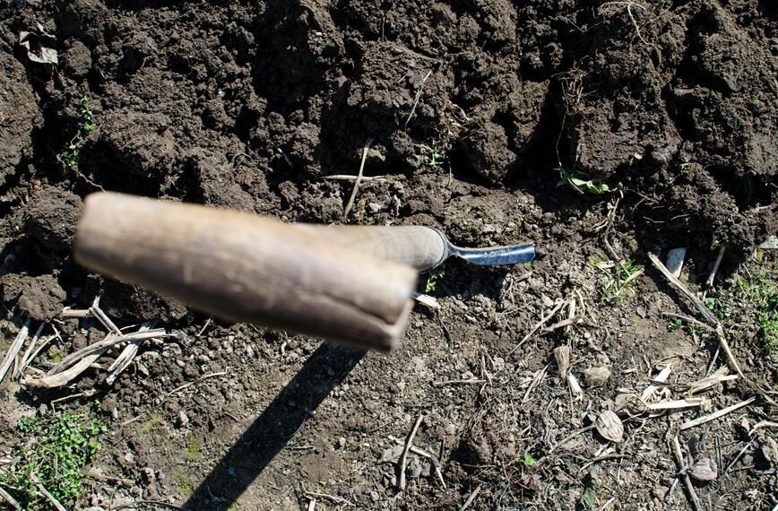 maximize growth with tools