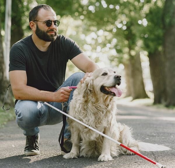 digital service quality guide