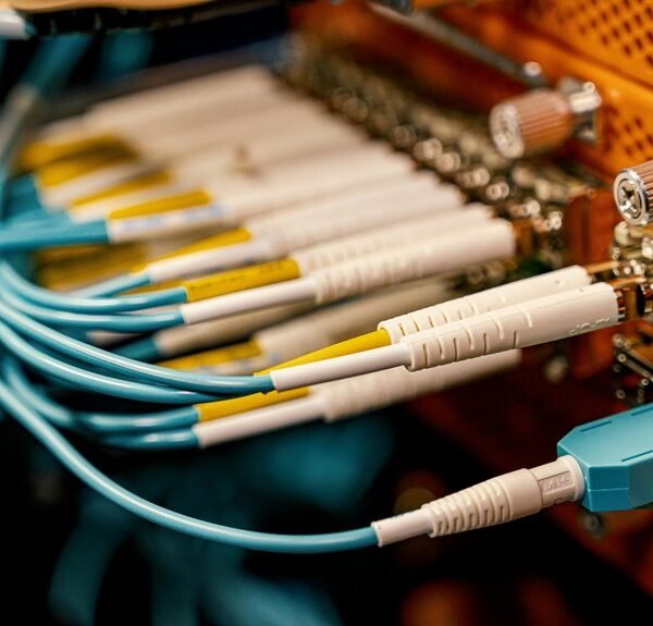 professional web network details