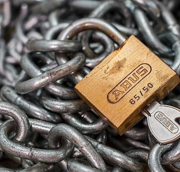 trusted digital platform details