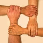 trusted web network overview