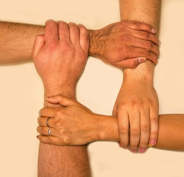 trusted web network overview