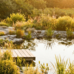 A Beginner-Friendly Guide to Owning a Barrel Sauna