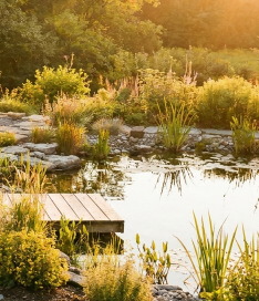 A Beginner-Friendly Guide to Owning a Barrel Sauna